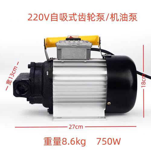 诺安得机油泵220v大功率自吸电动齿轮泵液压油齿轮油机油小型油泵