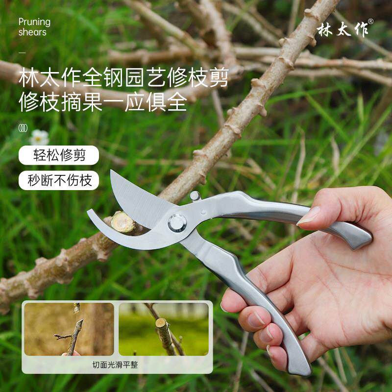 林太作全不锈钢果树修枝剪刀专用植物园林园艺花枝修花剪树枝剪子图片