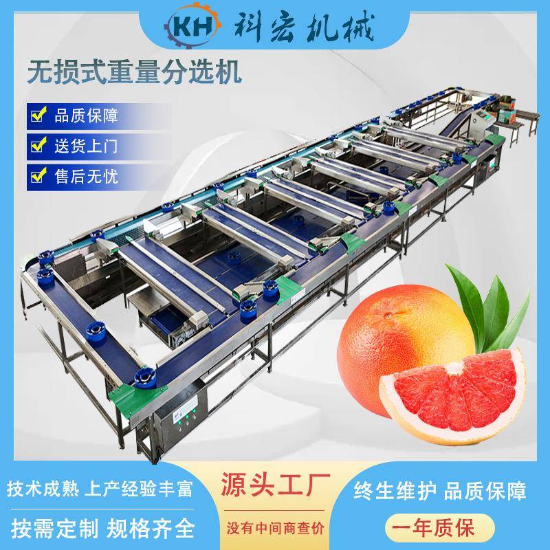 科宏机械无损式重量分选机榴莲葡萄柚称重分选西瓜甜瓜智能分拣