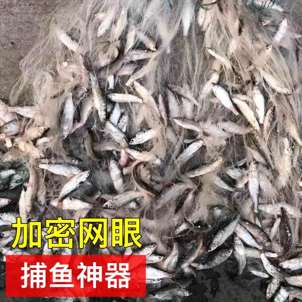 白条网餐鱼网8分1指1.5指一指半捕鱼网黏网单层渔网三层浮网沉网