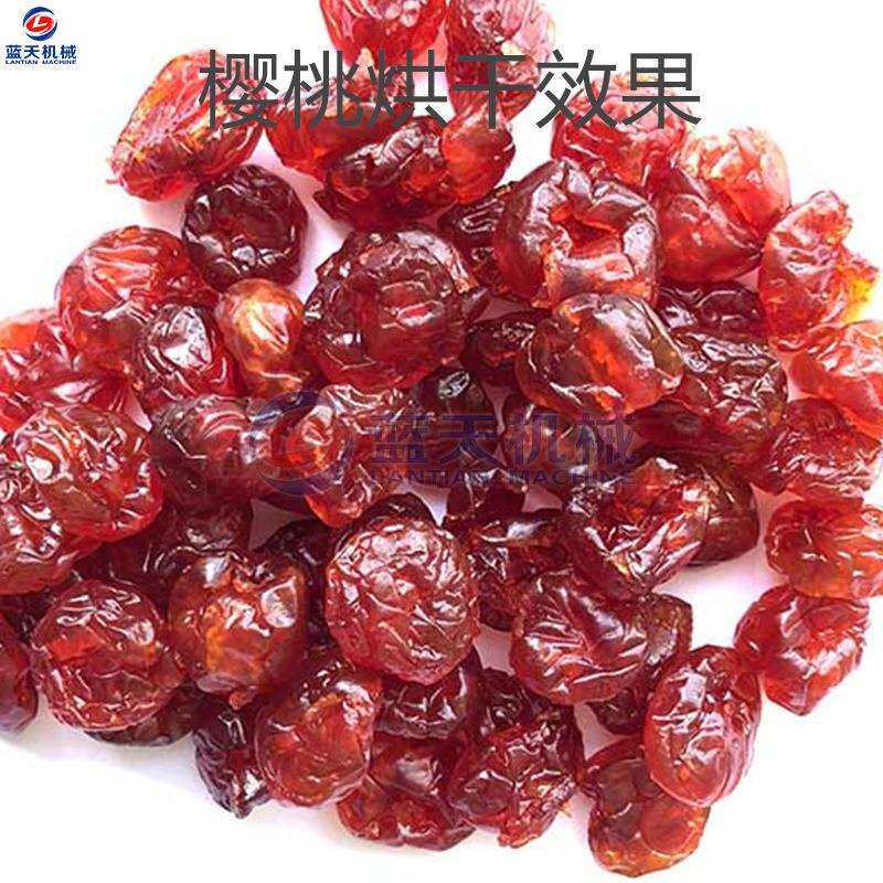 车厘子烘干设含桃英樱桃水果脯生物颗粒烘烧干房ERC樱桃烘备干桃