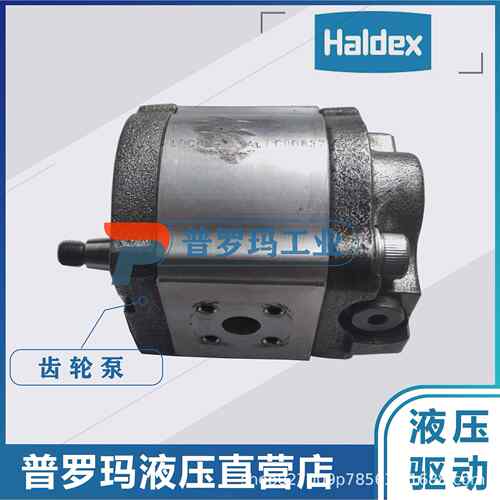 瑞典HALDEX 齿轮泵 WP09A1B190R03BA121N/180202国产代替现货供应