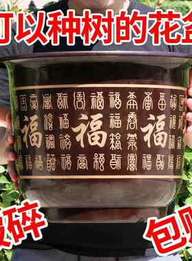 花盆大号特大号超大花盘树脂30cm紫砂兰花专用家用透气l