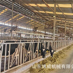 新型加厚热镀锌双开牛颈夹牛颈夹价格防止抢食打架牛羊颈夹