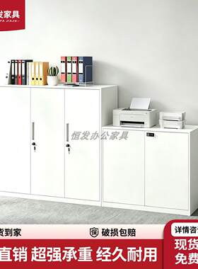铁皮文件柜办公室储物柜新型隔断柜桌边柜打印机放置柜文件柜矮柜