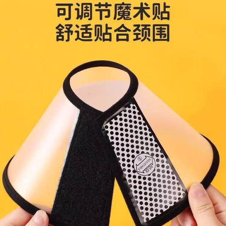 伊丽莎白狗狗猫咪宠物伊丽莎白圈