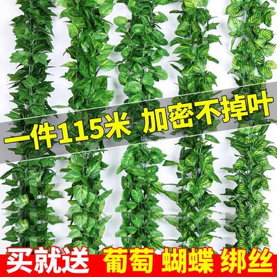 假花藤条树叶子管道缠绕绿藤蔓葡萄叶吊顶装饰屋顶绿植物王之