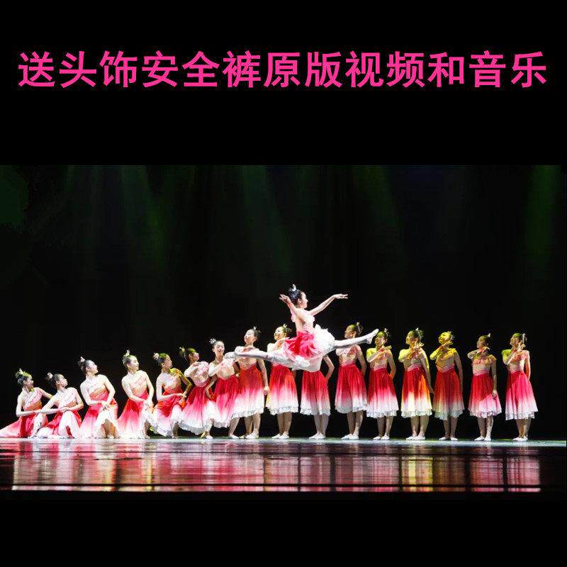 新款小荷风采歌颂祖国爱国舞蹈服女童中小学生心中的花儿演出服装