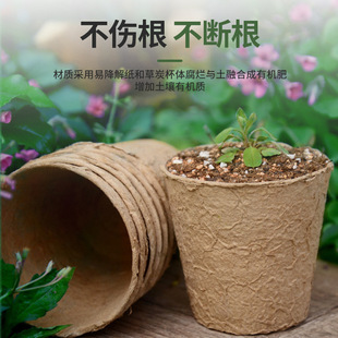 生物降解育苗杯花盆可降解植物种子发芽培育种植一次性工具育种
