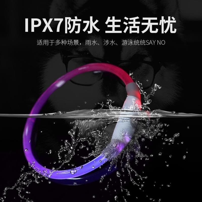 023爆新DXP款宠充电项圈USB猫狗物led项圈通体发光防水2亚马逊款
