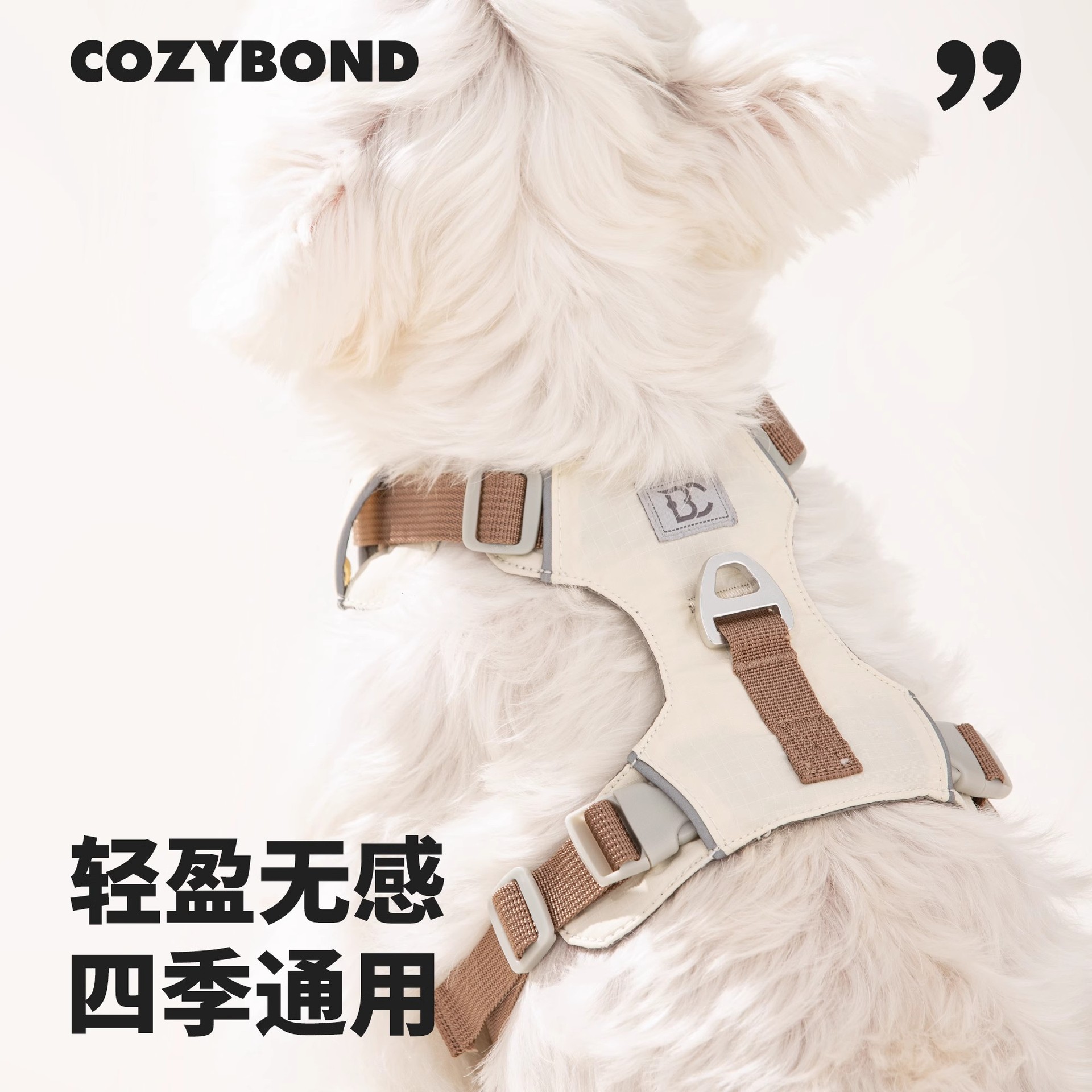 宠物轻量胸背背带遛狗狗牵引绳