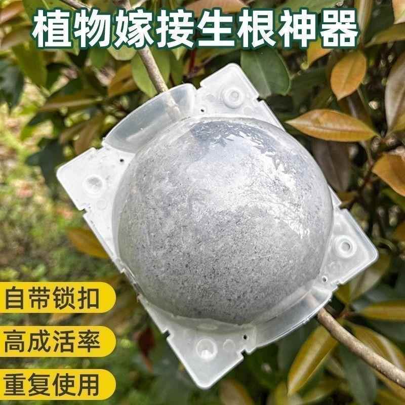 植物高压盒扦插嫁接生根器育苗果树树木高空扦插繁殖高压繁殖