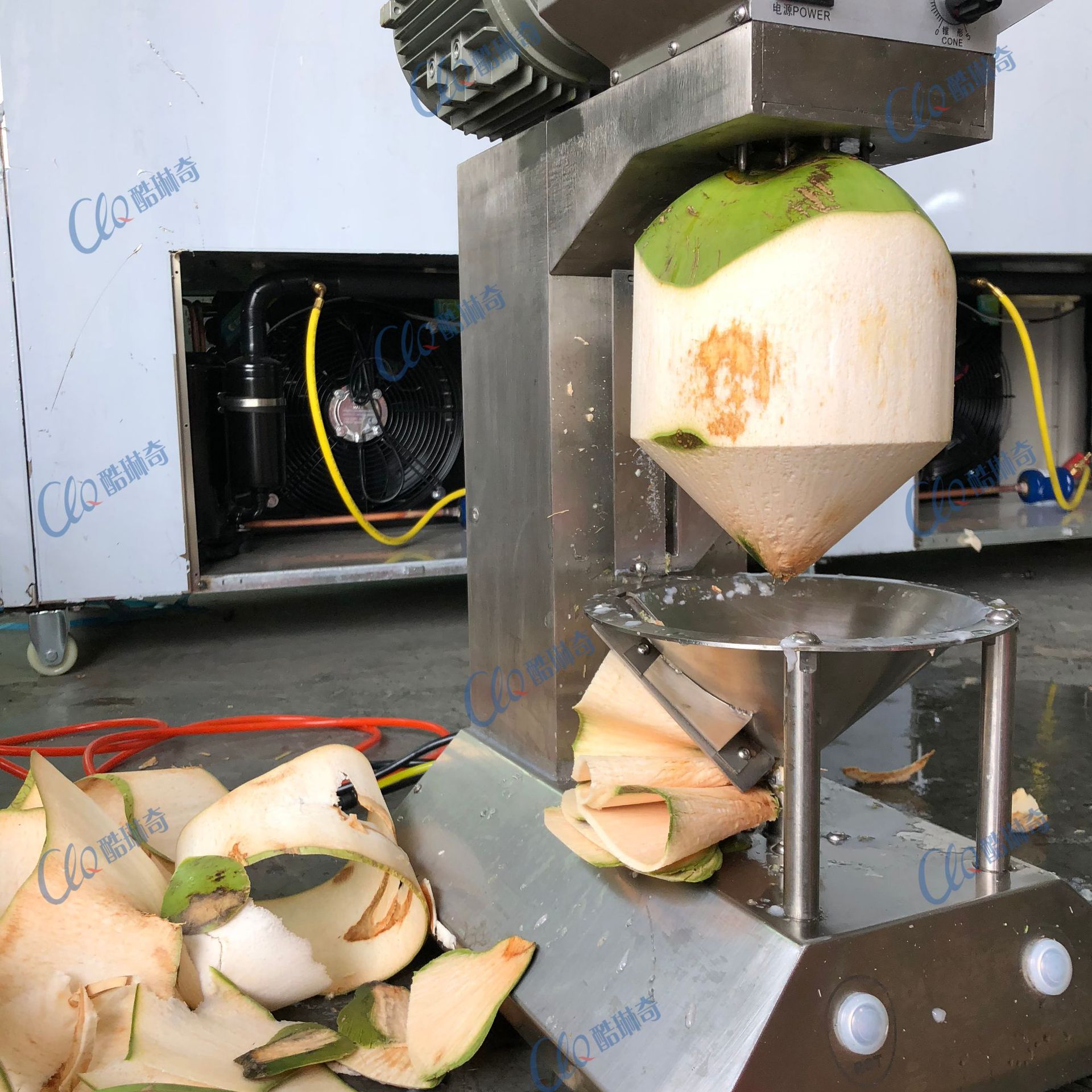 印度全自动椰子去皮机 商用椰青刨皮设备高速青椰快速刮皮机