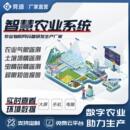智慧农业系统物联网环境监测站高标准农田大棚四情土壤气候感测器