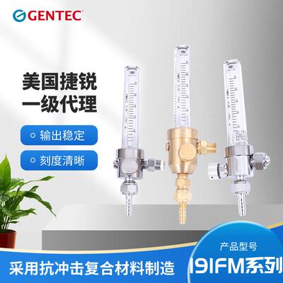 美国捷锐GENTEC 191FM-25L 195FM-25L气体流量计191FM 195FM系列