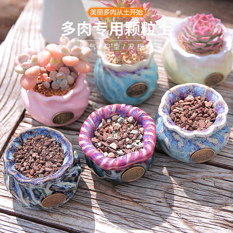 戚大叔多肉土专用颗粒营养土植物进口泥炭种植土铺面石叶插纯土