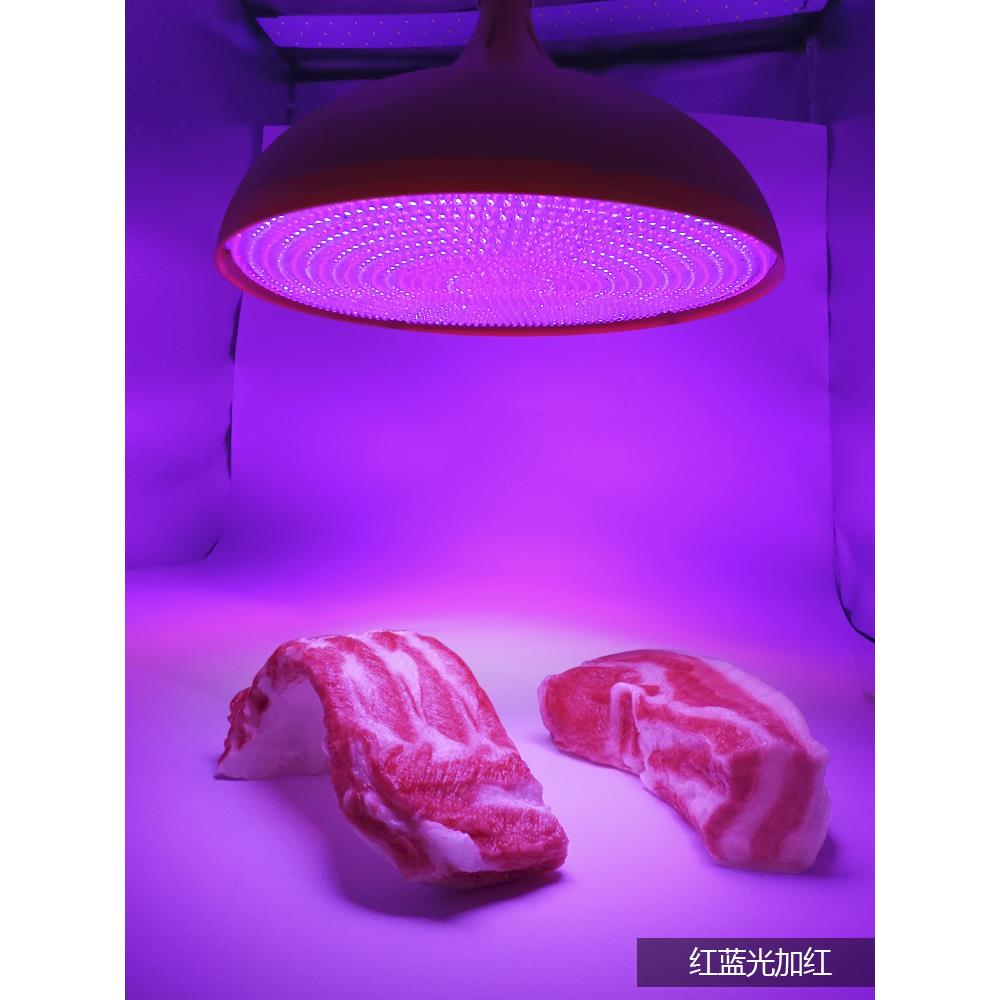 1生51珠超亮卖HT1515冷5鲜肉LED鲜灯水果专用吊灯市场鲜海熟食灯