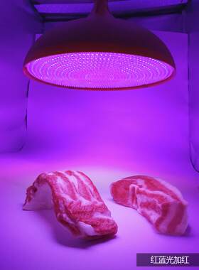 1生51珠超亮卖HT1515冷5鲜肉LED鲜灯水果专用吊灯市场鲜海熟食灯