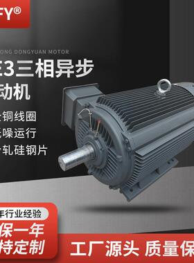 三相异步电动机YE3-355M1/M2/M3-6极380V160/185/200W电机