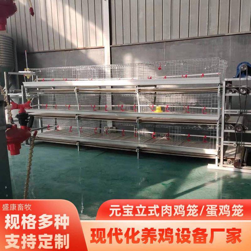 元型肉鸡笼全自动化肉鸡笼蛋鸡笼养殖场鸡舍养鸡机械设备蛋鸡笼