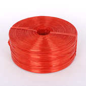 新料小盘2.5cm宽红色塑料捆扎绳打包扎口绳撕裂膜尼龙绳