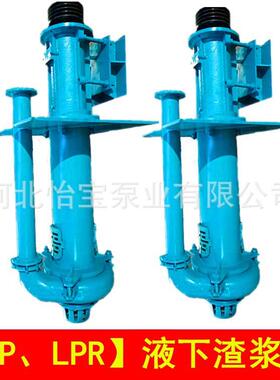 100Q-LP 80Q-LP天门液下渣浆泵65Q-LP 100R-LP 150R-LP污泥提升泵