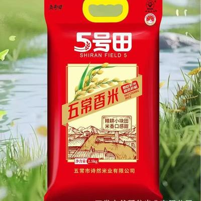 厂家 五常长粒香米24年东北大米当季新米5号田五常香米5斤x2