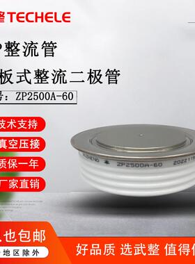 平板式整流管ZP2500A-60变频器大功率整流二极管ZP2500A6000V