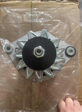 BUKH卜克DV29RME发电机适用VALEO A13N234发电机612H0520发电机