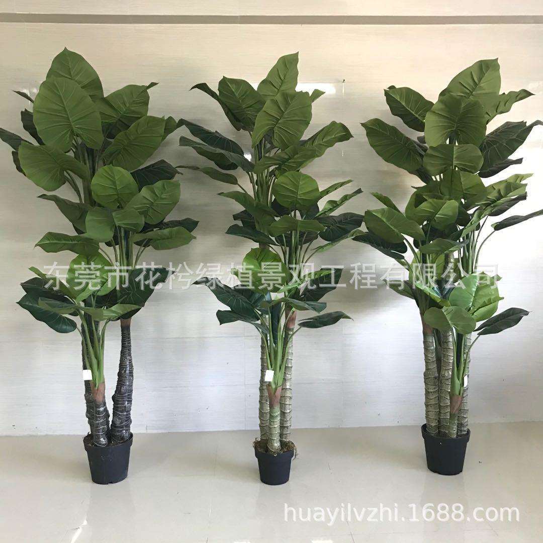 仿真巴西木仿真巴西铁假树北欧假植物盆栽餐厅装饰假树巴西铁仿真
