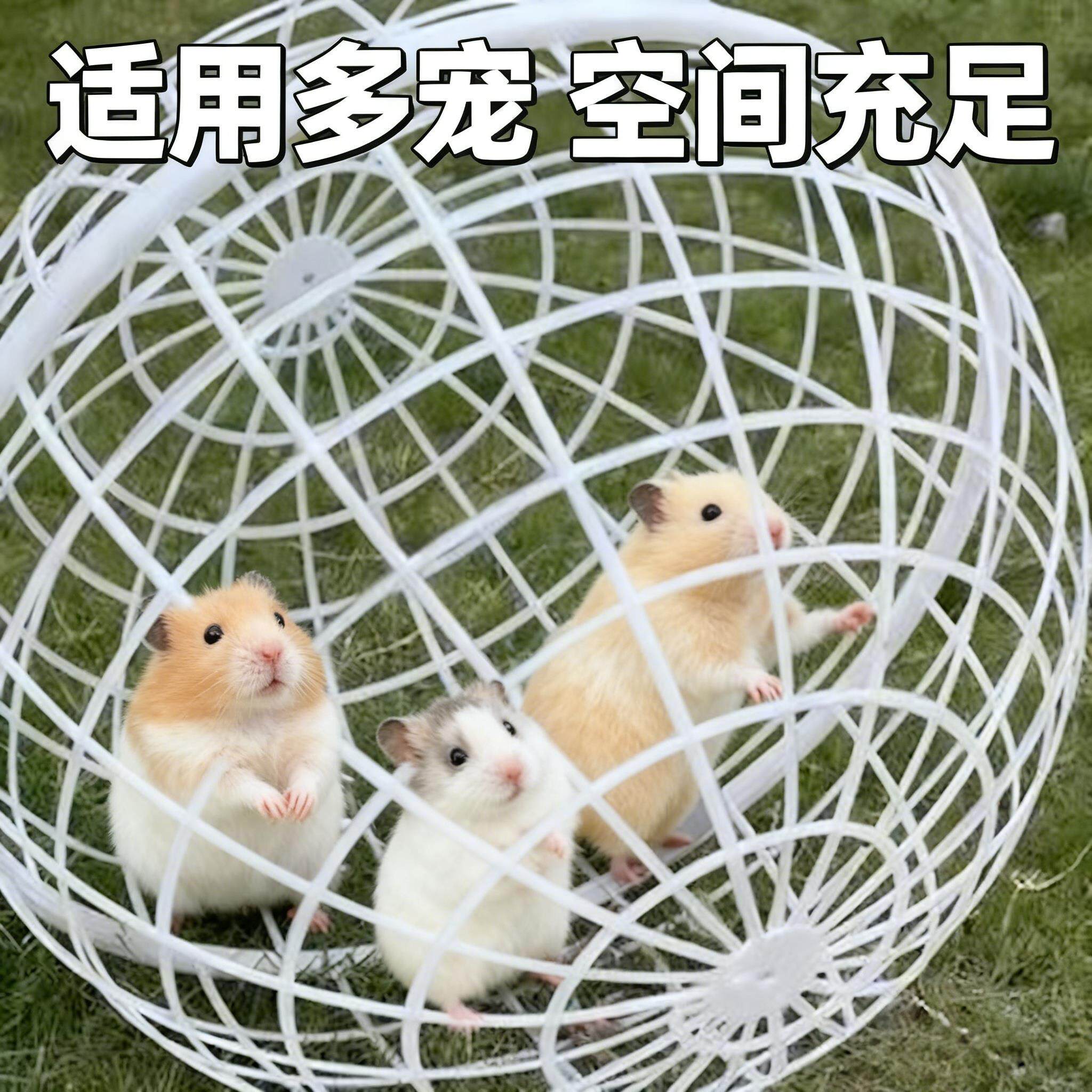 兔子空笼可滚动圆形笼子球型网红走地鸡球型鸡笼兔笼小动物防护笼