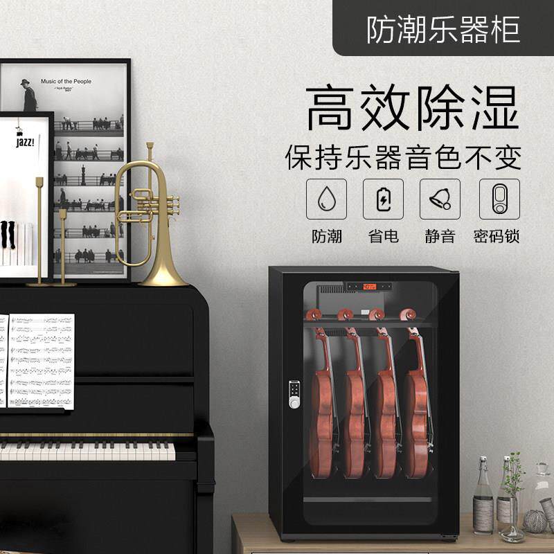 LENTHEM领顿防潮乐器柜201 加厚钢制小提琴除湿柜 带密码锁干燥箱