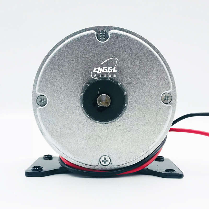 羚鹰小海豚同步轮电机24V300W高速电机电动车马达