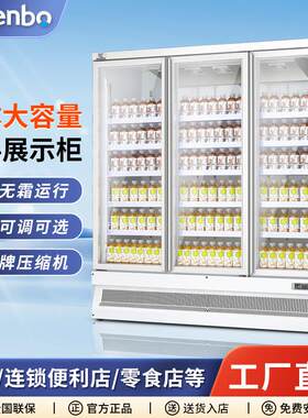 雅绅宝厂家直供风冷啤酒冷藏柜超市立式牛奶柜商用冰箱展示饮料柜