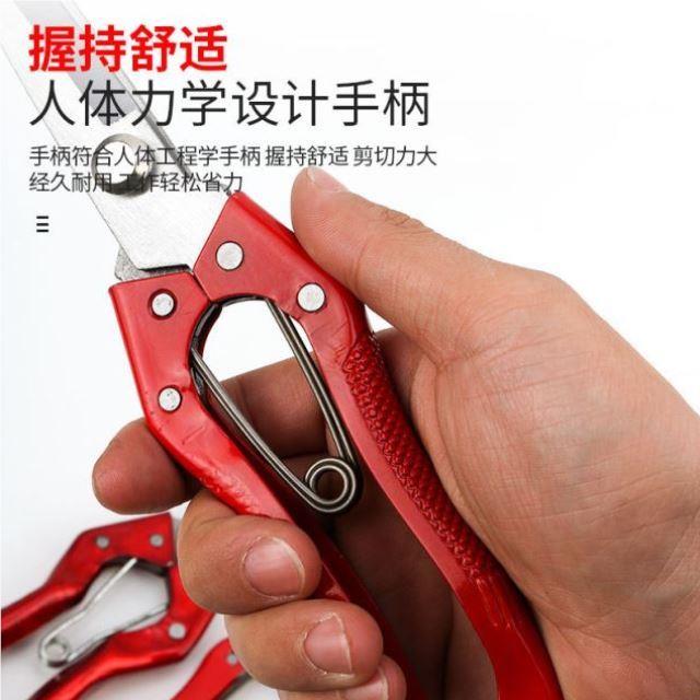 果枝剪修新修枝剪花款MQM5292卉桔子花园店园艺林园工具剪花刀植