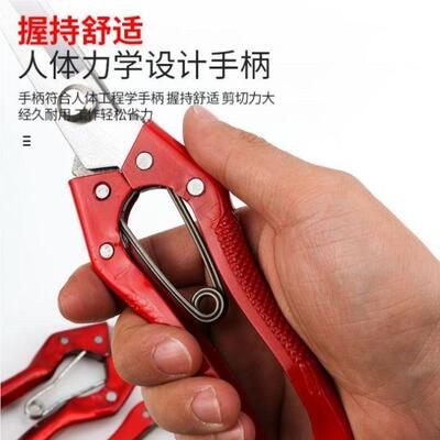 果枝剪修新修枝剪花款MQM5292卉桔子花园店园艺林园工具剪花刀植