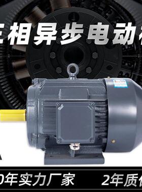 YE3三相异步电动机y3交流电机马达1.5/3/7.5/15.5/30w三相电机