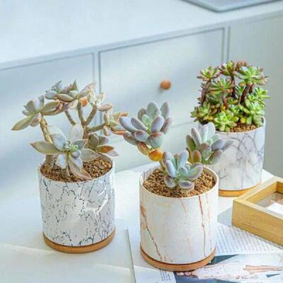 Creative Marble Grain Fleshy Plant Pot Nordic Style