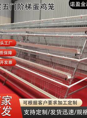 四层四门白槽绿槽阶梯蛋鸡笼镀锌耐用耐腐蚀空间错位粪便易清洁
