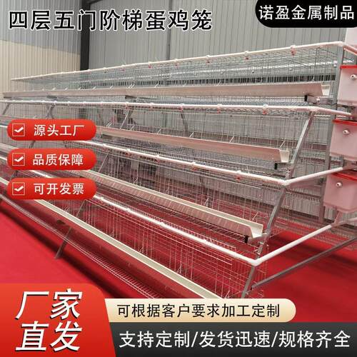 四层四门白槽绿槽阶梯蛋鸡笼镀锌耐用耐腐蚀空间错位粪便易清洁