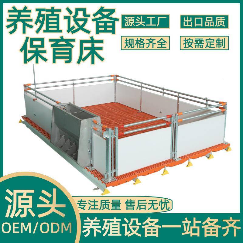 正红畜牧养殖设备 pvc板仔猪欧式保育床 养殖场小猪保育产床