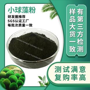 SC实力工厂蛋白核小球藻粉现货原料小球藻提取物食品级小球藻粉