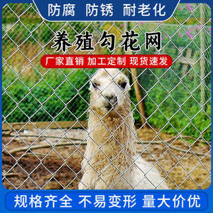 厂家矿用勾花网护栏养殖隔离钢丝网围栏狗笼子球场围网镀锌铁丝