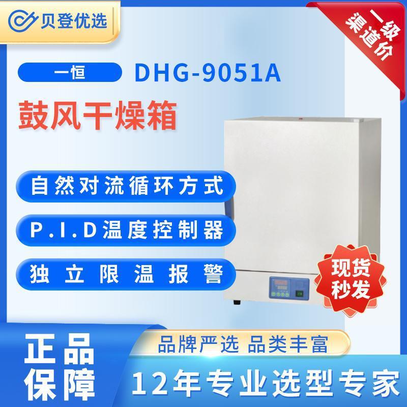 9003系列鼓风干燥箱（DHG-9051A）
