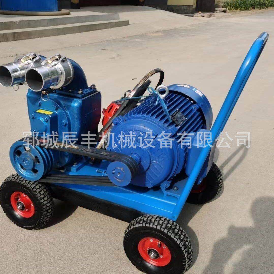 辰丰工厂吸污泵家用化粪池抽粪泵吸粪真空防堵塞大功率抽污泵升级
