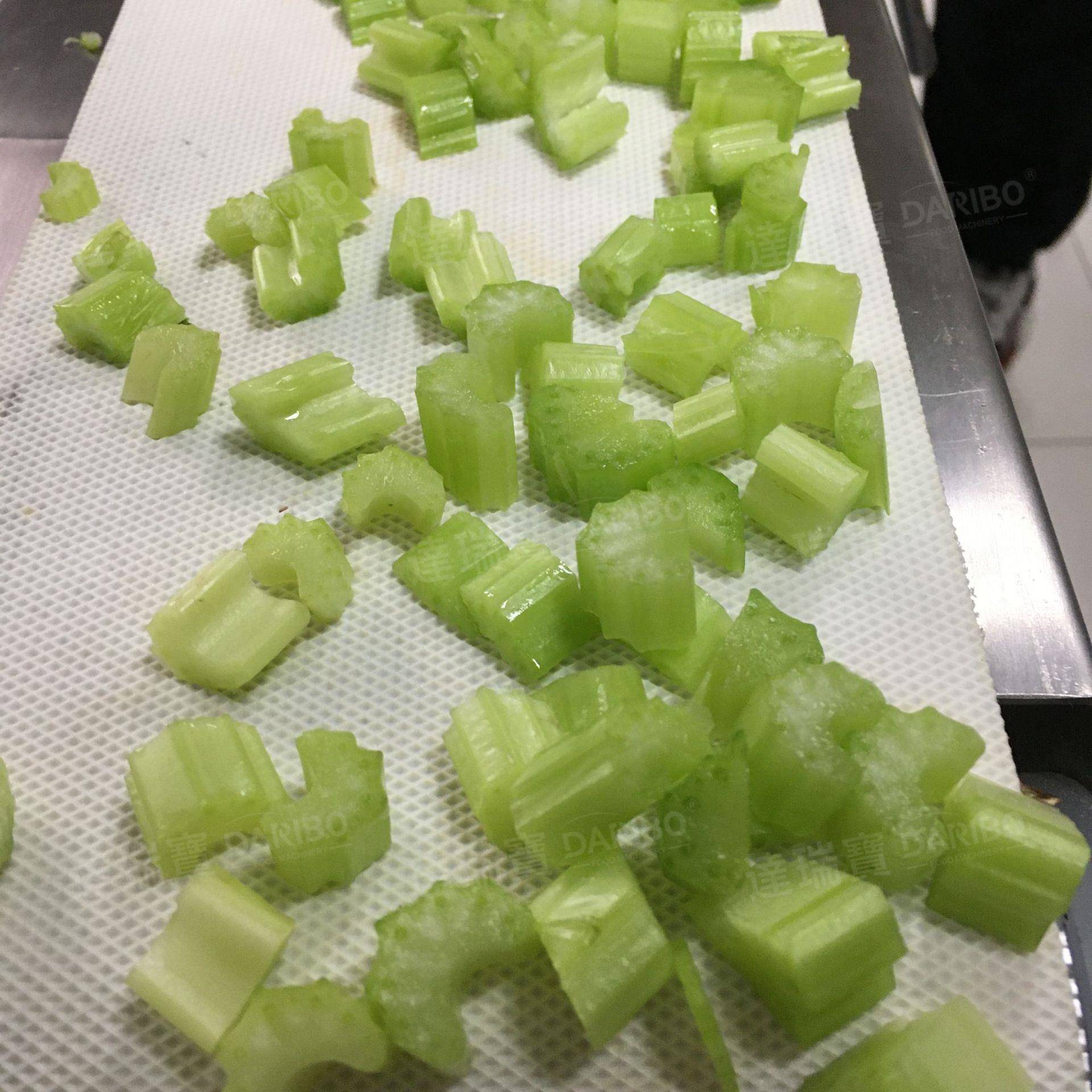 W输送带式竹笋切片机 莴笋切片机 豆角葱花切丝机 土豆切片机1mm