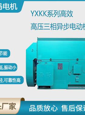 西安电机YX-4504-4极800W6V高压鼠笼型三相异步电动机厂