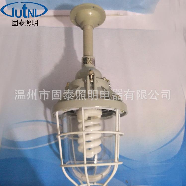 100W防爆灯 BAD51隔爆型防爆灯 白炽灯 节能灯光源可配