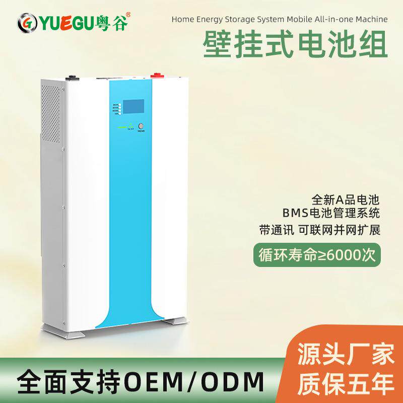 家庭壁挂式电池组A品铁锂电芯10度51.2V200AH应急供电储能电池组