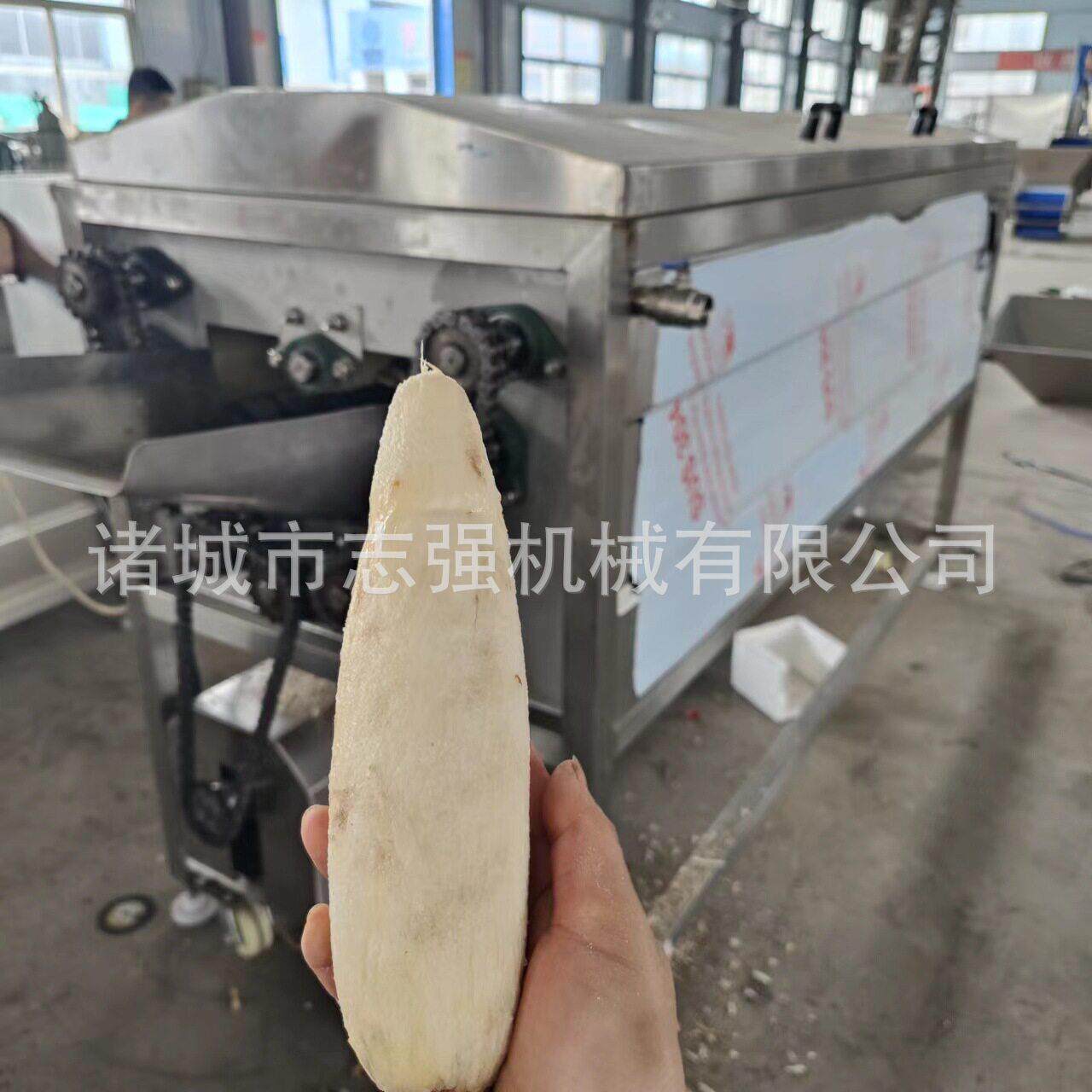 不伤果肉削皮机莲藕南瓜毛辊清洗机多功能砂辊螺旋木薯压去皮机